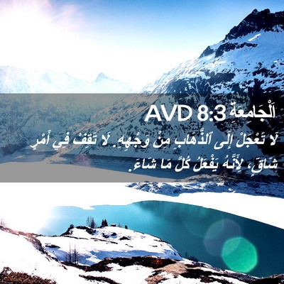 Picture 02 - اَلْجَامِعَةِ 8:3 AVD - لَا تَعْجَلْ إِلَى - Bible Verse Picture