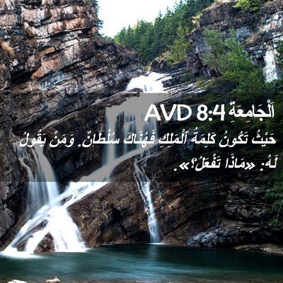 Picture 02 - اَلْجَامِعَةِ 8:4 AVD - حَيْثُ تَكُونُ كَلِمَةُ - Bible Verse Picture