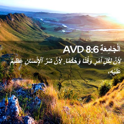 Picture 02 - اَلْجَامِعَةِ 8:6 AVD - لِأَنَّ لِكُلِّ أَمْرٍ - Bible Verse Picture