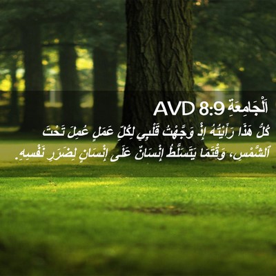 Picture 02 - اَلْجَامِعَةِ 8:9 AVD - كُلُّ هَذَا رَأَيْتُهُ - Bible Verse Picture