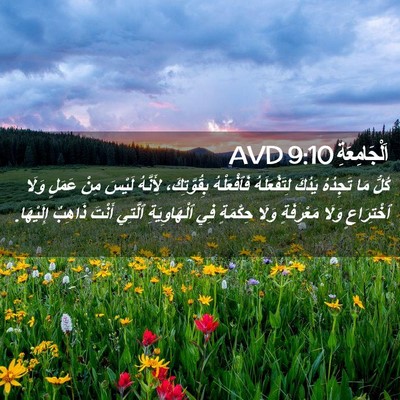 Picture 02 - اَلْجَامِعَةِ 9:10 AVD - كُلُّ مَا تَجِدُهُ يَدُكَ - Bible Verse Picture