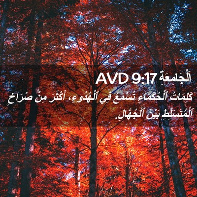 Picture 02 - اَلْجَامِعَةِ 9:17 AVD - كَلِمَاتُ ٱلْحُكَمَاءِ - Bible Verse Picture