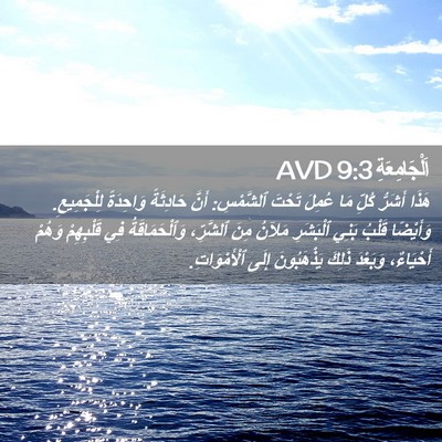 Picture 02 - اَلْجَامِعَةِ 9:3 AVD - هَذَا أَشَرُّ كُلِّ مَا - Bible Verse Picture