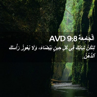Picture 02 - اَلْجَامِعَةِ 9:8 AVD - لِتَكُنْ ثِيَابُكَ فِي - Bible Verse Picture
