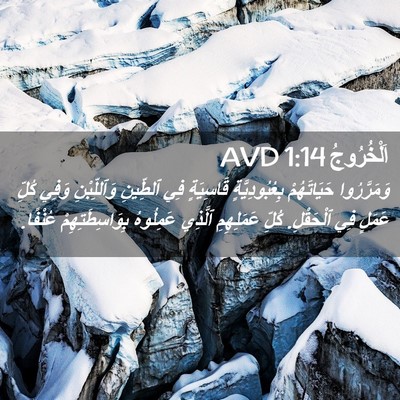 Picture 02 - اَلْخُرُوجُ 1:14 AVD - وَمَرَّرُوا حَيَاتَهُمْ - Bible Verse Picture