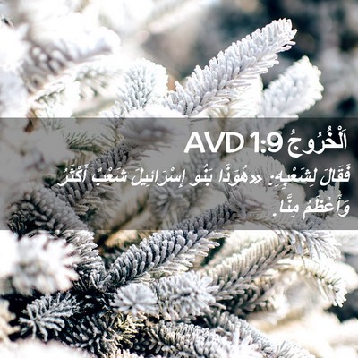 Picture 02 - اَلْخُرُوجُ 1:9 AVD - فَقَالَ لِشَعْبِهِ: - Bible Verse Picture