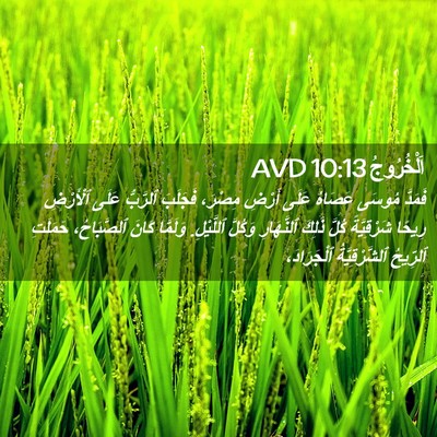 Picture 02 - اَلْخُرُوجُ 10:13 AVD - فَمَدَّ مُوسَى عَصَاهُ - Bible Verse Picture