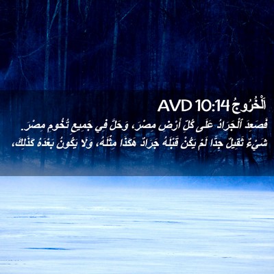 Picture 02 - اَلْخُرُوجُ 10:14 AVD - فَصَعِدَ ٱلْجَرَادُ عَلَى - Bible Verse Picture