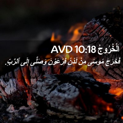 Picture 02 - اَلْخُرُوجُ 10:18 AVD - فَخَرَجَ مُوسَى مِنْ - Bible Verse Picture