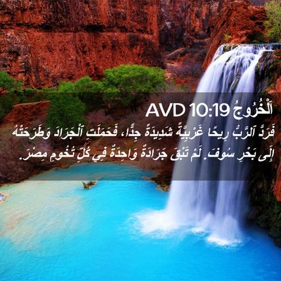 Picture 02 - اَلْخُرُوجُ 10:19 AVD - فَرَدَّ ٱلرَّبُّ رِيحًا - Bible Verse Picture