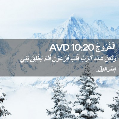 Picture 02 - اَلْخُرُوجُ 10:20 AVD - وَلَكِنْ شَدَّدَ ٱلرَّبُّ - Bible Verse Picture