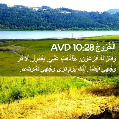 Picture 02 - اَلْخُرُوجُ 10:28 AVD - وَقَالَ لَهُ فِرْعَوْنُ: - Bible Verse Picture