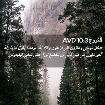 Picture 02 - اَلْخُرُوجُ 10:3 AVD - فَدَخَلَ مُوسَى - Bible Verse Picture