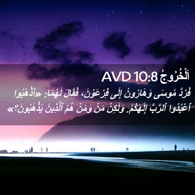 Picture 02 - اَلْخُرُوجُ 10:8 AVD - فَرُدَّ مُوسَى وَهَارُونُ - Bible Verse Picture