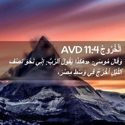 Picture 02 - اَلْخُرُوجُ 11:4 AVD - وَقَالَ مُوسَى: «هَكَذَا - Bible Verse Picture
