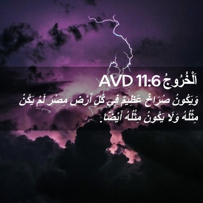 Picture 02 - اَلْخُرُوجُ 11:6 AVD - وَيَكُونُ صُرَاخٌ عَظِيمٌ - Bible Verse Picture