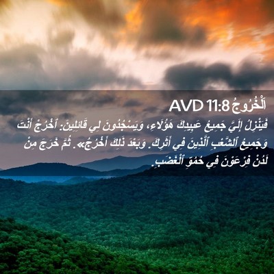 Picture 02 - اَلْخُرُوجُ 11:8 AVD - فَيَنْزِلُ إِلَيَّ - Bible Verse Picture