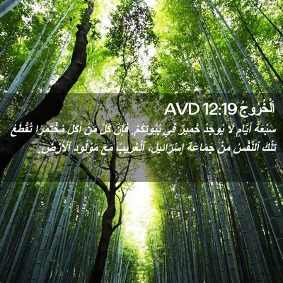 Picture 02 - اَلْخُرُوجُ 12:19 AVD - سَبْعَةَ أَيَّامٍ لَا - Bible Verse Picture