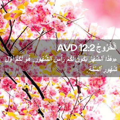 Picture 02 - اَلْخُرُوجُ 12:2 AVD - «هَذَا ٱلشَّهْرُ يَكُونُ - Bible Verse Picture