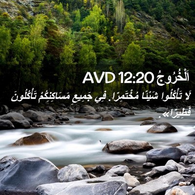 Picture 02 - اَلْخُرُوجُ 12:20 AVD - لَا تَأْكُلُوا شَيْئًا - Bible Verse Picture