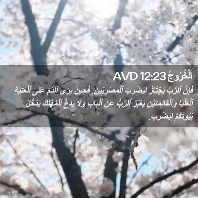 Picture 02 - اَلْخُرُوجُ 12:23 AVD - فَإِنَّ ٱلرَّبَّ - Bible Verse Picture
