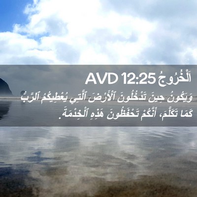 Picture 02 - اَلْخُرُوجُ 12:25 AVD - وَيَكُونُ حِينَ - Bible Verse Picture