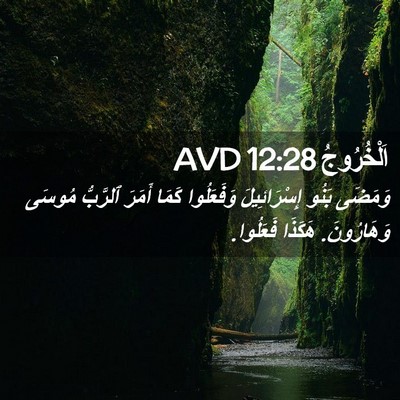 Picture 02 - اَلْخُرُوجُ 12:28 AVD - وَمَضَى بَنُو - Bible Verse Picture