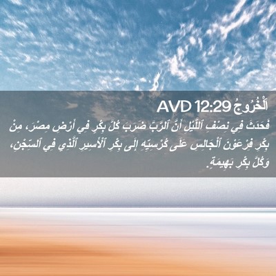 Picture 02 - اَلْخُرُوجُ 12:29 AVD - فَحَدَثَ فِي نِصْفِ - Bible Verse Picture