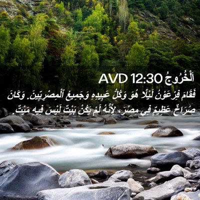 Picture 02 - اَلْخُرُوجُ 12:30 AVD - فَقَامَ فِرْعَوْنُ - Bible Verse Picture