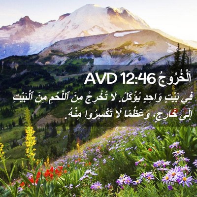 Picture 02 - اَلْخُرُوجُ 12:46 AVD - فِي بَيْتٍ وَاحِدٍ - Bible Verse Picture