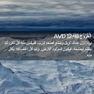 Picture 02 - اَلْخُرُوجُ 12:48 AVD - وَإِذَا نَزَلَ عِنْدَكَ - Bible Verse Picture