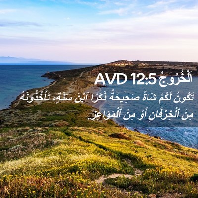 Picture 02 - اَلْخُرُوجُ 12:5 AVD - تَكُونُ لَكُمْ شَاةً - Bible Verse Picture