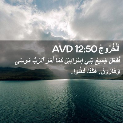 Picture 02 - اَلْخُرُوجُ 12:50 AVD - فَفَعَلَ جَمِيعُ بَنِي - Bible Verse Picture