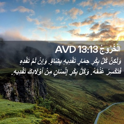 Picture 02 - اَلْخُرُوجُ 13:13 AVD - وَلَكِنَّ كُلَّ بِكْرِ - Bible Verse Picture