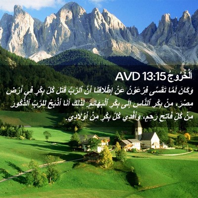 Picture 02 - اَلْخُرُوجُ 13:15 AVD - وَكَانَ لَمَّا تَقَسَّى - Bible Verse Picture