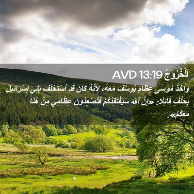 Picture 02 - اَلْخُرُوجُ 13:19 AVD - وَأَخَذَ مُوسَى عِظَامَ - Bible Verse Picture