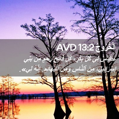 Picture 02 - اَلْخُرُوجُ 13:2 AVD - «قَدِّسْ لِي كُلَّ بِكْرٍ، - Bible Verse Picture