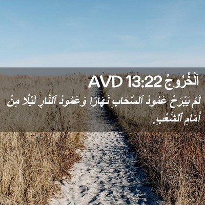 Picture 02 - اَلْخُرُوجُ 13:22 AVD - لَمْ يَبْرَحْ عَمُودُ - Bible Verse Picture