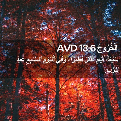 Picture 02 - اَلْخُرُوجُ 13:6 AVD - سَبْعَةَ أَيَّامٍ - Bible Verse Picture