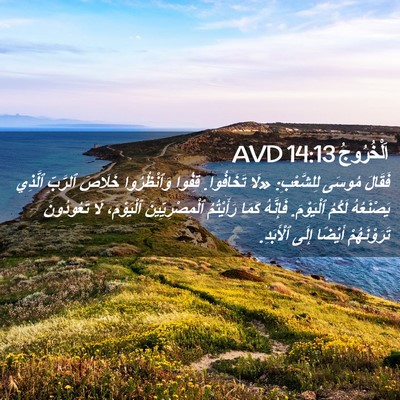 Picture 02 - اَلْخُرُوجُ 14:13 AVD - فَقَالَ مُوسَى لِلشَّعْبِ: - Bible Verse Picture