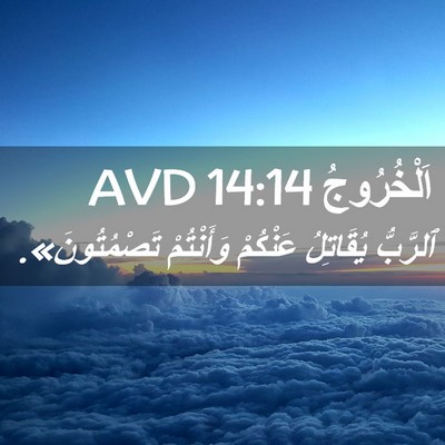 Picture 02 - اَلْخُرُوجُ 14:14 AVD - ٱلرَّبُّ يُقَاتِلُ - Bible Verse Picture