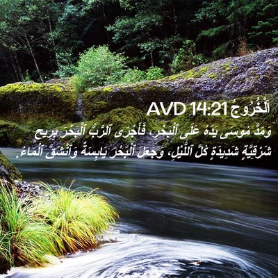 Picture 02 - اَلْخُرُوجُ 14:21 AVD - وَمَدَّ مُوسَى يَدَهُ - Bible Verse Picture