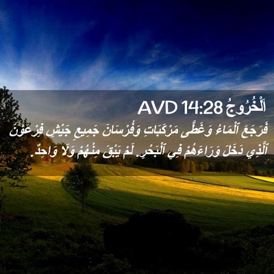 Picture 02 - اَلْخُرُوجُ 14:28 AVD - فَرَجَعَ ٱلْمَاءُ - Bible Verse Picture