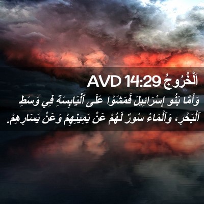 Picture 02 - اَلْخُرُوجُ 14:29 AVD - وَأَمَّا بَنُو - Bible Verse Picture
