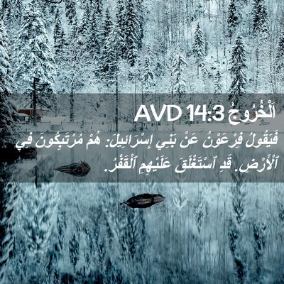 Picture 02 - اَلْخُرُوجُ 14:3 AVD - فَيَقُولُ فِرْعَوْنُ عَنْ - Bible Verse Picture