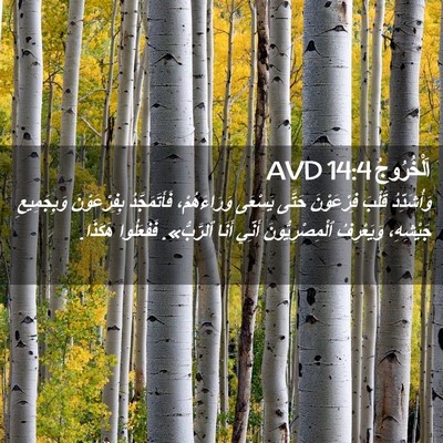 Picture 02 - اَلْخُرُوجُ 14:4 AVD - وَأُشَدِّدُ قَلْبَ - Bible Verse Picture
