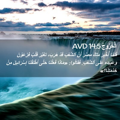 Picture 02 - اَلْخُرُوجُ 14:5 AVD - فَلَمَّا أُخْبِرَ مَلِكُ - Bible Verse Picture