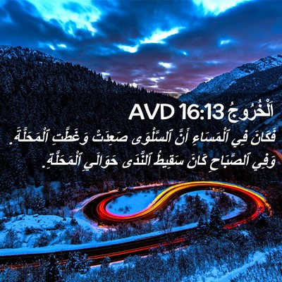 Picture 02 - اَلْخُرُوجُ 16:13 AVD - فَكَانَ فِي ٱلْمَسَاءِ - Bible Verse Picture