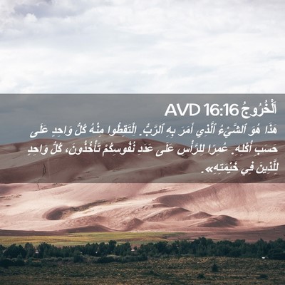 Picture 02 - اَلْخُرُوجُ 16:16 AVD - هَذَا هُوَ ٱلشَّيْءُ - Bible Verse Picture