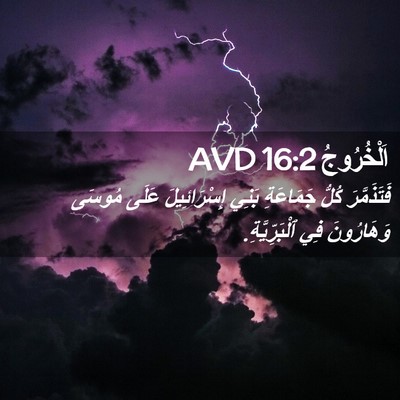 Picture 02 - اَلْخُرُوجُ 16:2 AVD - فَتَذَمَّرَ كُلُّ - Bible Verse Picture